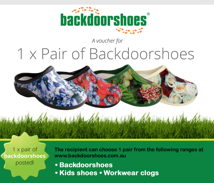 Buy a Backdoorshoes Voucher
